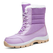 Purpura